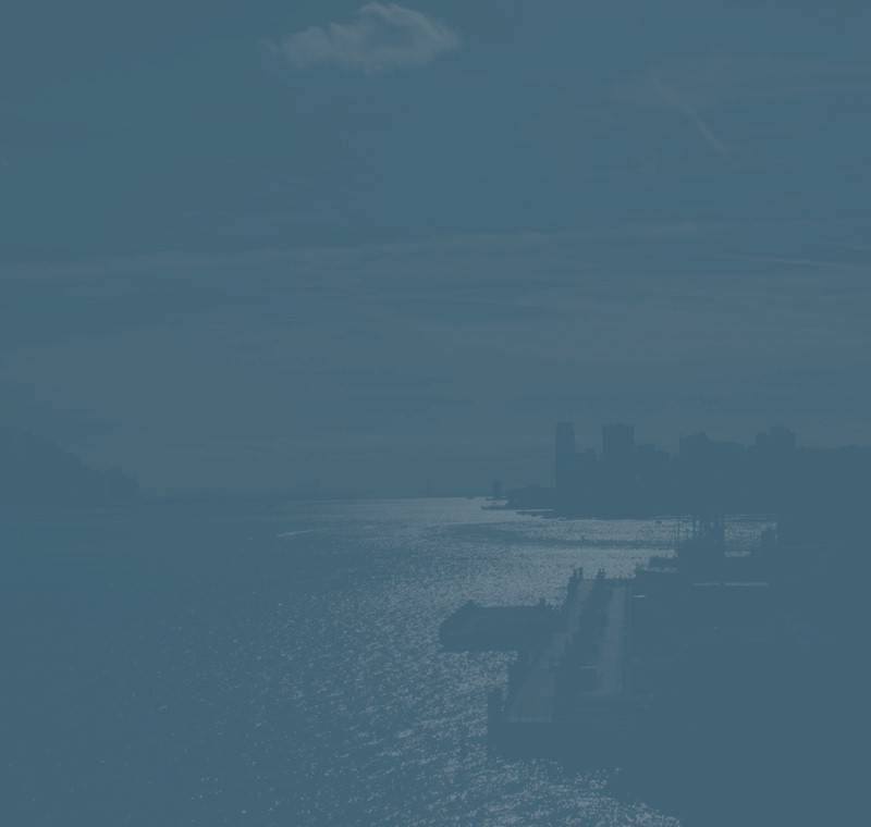 About Port New York cam